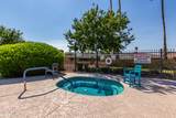 2909 Las Rocas Drive - Photo 38
