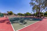 2909 Las Rocas Drive - Photo 41