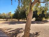 10080 Mountainview Lake Drive - Photo 3