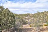 2212 Aspen Acres Drive - Photo 42