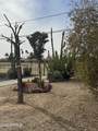 12236 Pebble Beach Drive - Photo 35