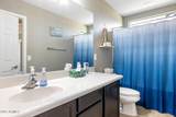 10840 Saddlehorn Road - Photo 31