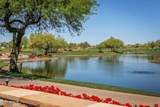 20802 Grayhawk Drive - Photo 38
