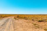 000 Bell Cow Aka Rock Art Ranch Road - Photo 63