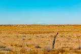 000 Bell Cow Aka Rock Art Ranch Road - Photo 68