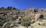 25572 113TH Way - Photo 70