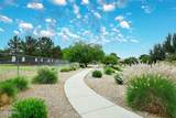 5624 Garnet Avenue - Photo 41
