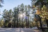 770 Forest Service 461 Road - Photo 16