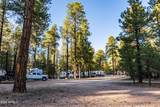770 Forest Service 461 Road - Photo 17