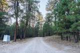 770 Forest Service 461 Road - Photo 22