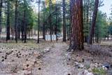 770 Forest Service 461 Road - Photo 23