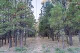 770 Forest Service 461 Road - Photo 24