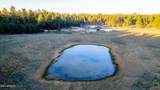 770 Forest Service 461 Road - Photo 35