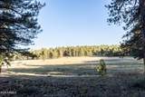 770 Forest Service 461 Road - Photo 55