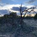 9 County Road N7340 - Photo 23