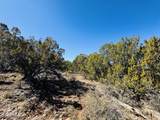 4108 Sunset Ridge Loop - Photo 13