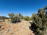 4108 Sunset Ridge Loop - Photo 18