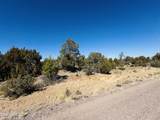 4108 Sunset Ridge Loop - Photo 19