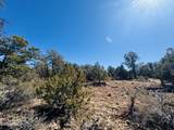 4108 Sunset Ridge Loop - Photo 6