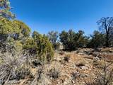4108 Sunset Ridge Loop - Photo 8