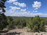 lot 79 Ranch Road - Photo 4