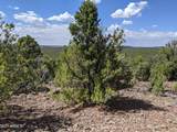 lot 79 Ranch Road - Photo 8