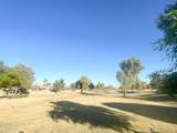 368 Palomino Drive - Photo 37