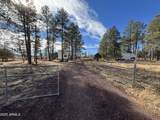 3851 Coyote Drive - Photo 2