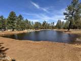 3851 Coyote Drive - Photo 48