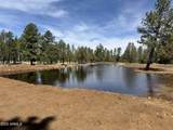 3851 Coyote Drive - Photo 49