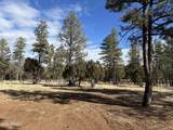 3851 Coyote Drive - Photo 6