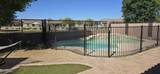 21402 Alyssa Road - Photo 29