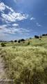 Lot 009P One More Road - Photo 14