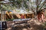 838 Palomino Way - Photo 38