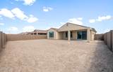 7833 Cactus Wren Way - Photo 18