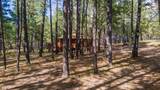 1423 Geode Drive - Photo 20