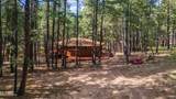 1423 Geode Drive - Photo 21