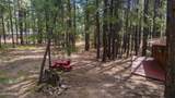 1423 Geode Drive - Photo 23