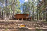 1423 Geode Drive - Photo 24