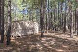 1423 Geode Drive - Photo 26