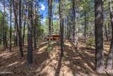 1423 Geode Drive - Photo 28