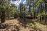 1423 Geode Drive - Photo 32