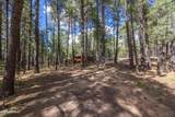 1423 Geode Drive - Photo 34