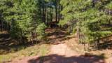 1423 Geode Drive - Photo 40