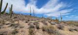 4790 El Adobe Ranch Road - Photo 15