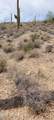 4790 El Adobe Ranch Road - Photo 19