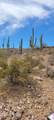 4790 El Adobe Ranch Road - Photo 24