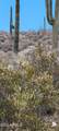 4790 El Adobe Ranch Road - Photo 25