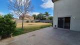 3625 Payton - Photo 11