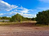 180 Co Rd 3148 Lot #1 2.1 Acres - Photo 23